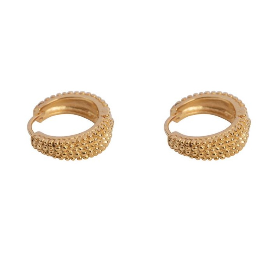 Oorbellen Betty Bogaers | Small Dotted Hoop Earring